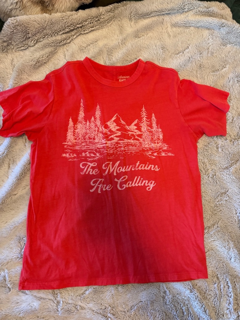 American Eagle Outfitters Red Graphic Tee with Mountain Scene